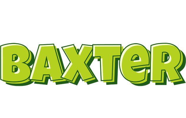 Baxter summer logo