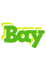 Bay picnic logo