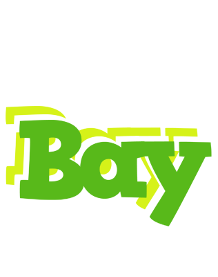 Bay picnic logo
