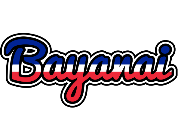 Bayanai france logo