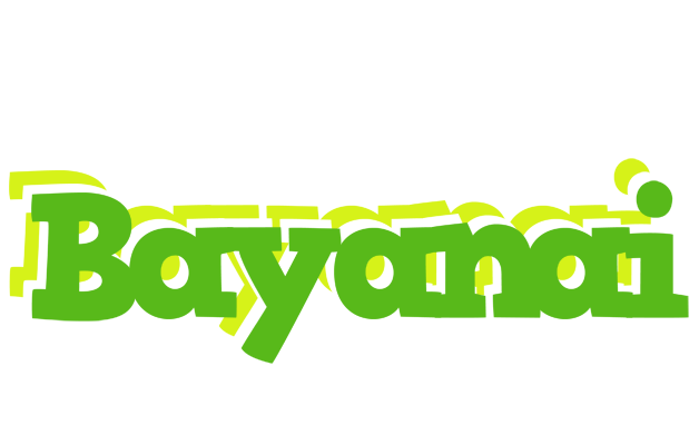Bayanai picnic logo