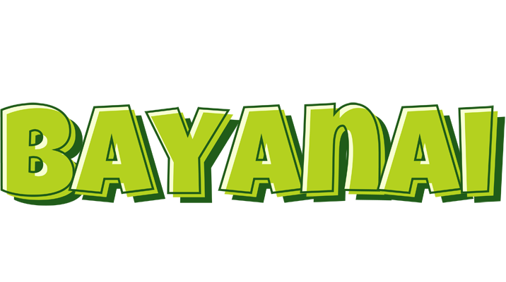 Bayanai summer logo