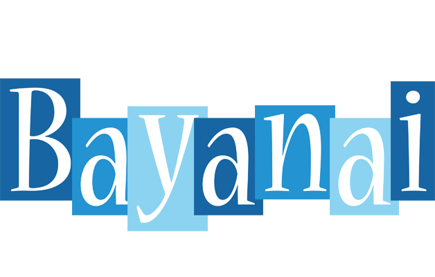 Bayanai winter logo