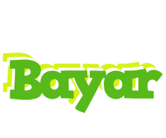 Bayar picnic logo