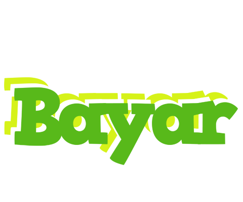 Bayar picnic logo