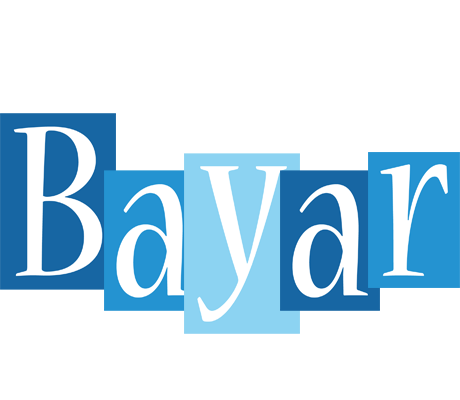 Bayar winter logo