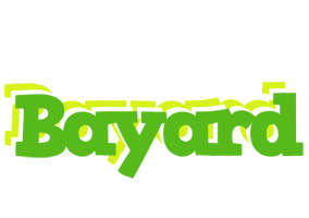 Bayard picnic logo