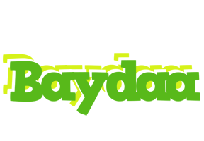 Baydaa picnic logo