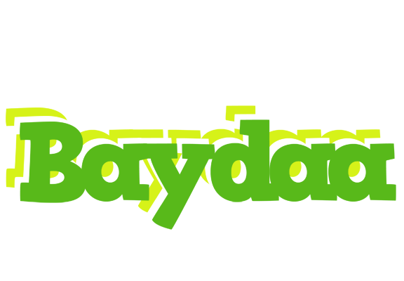 Baydaa picnic logo