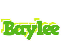 Baylee picnic logo