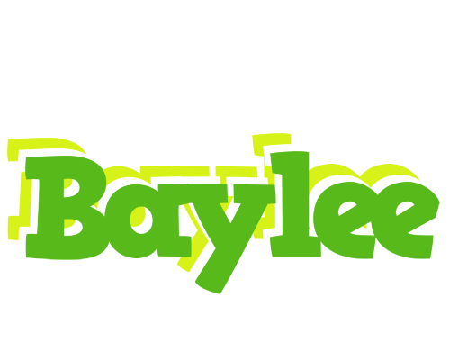 Baylee picnic logo