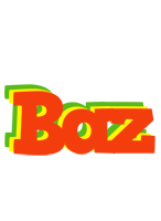 Baz bbq logo