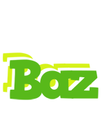 Baz picnic logo