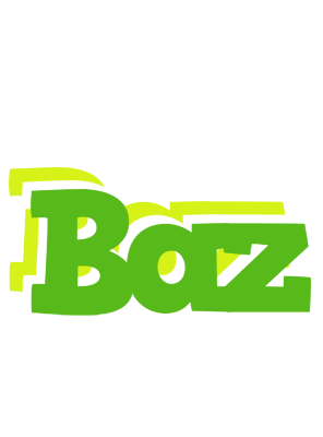 Baz picnic logo