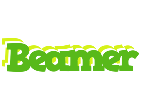 Beamer picnic logo