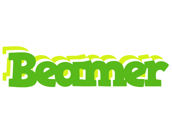 Beamer picnic logo