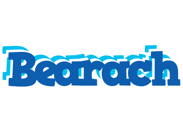 Bearach business logo