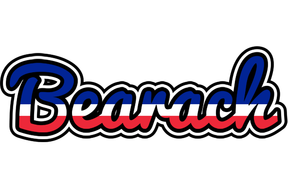 Bearach france logo