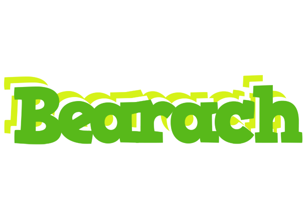 Bearach picnic logo