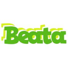 Beata picnic logo