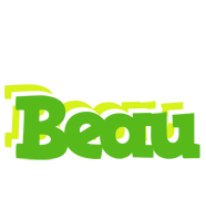 Beau picnic logo