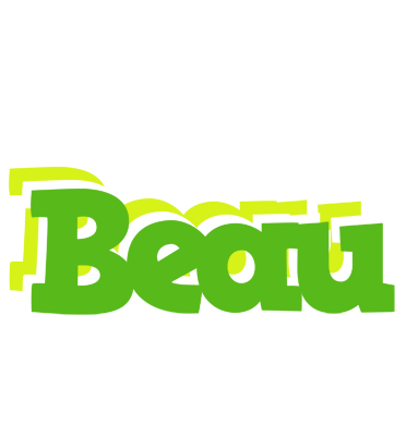 Beau picnic logo