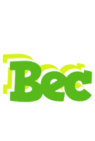 Bec picnic logo