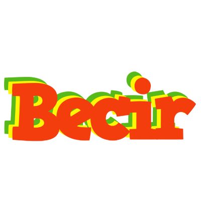 Becir bbq logo