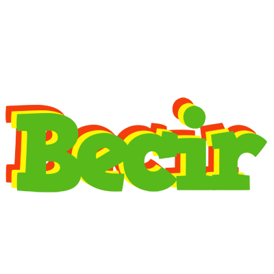 Becir crocodile logo