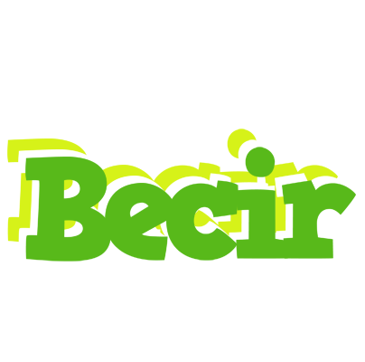 Becir picnic logo