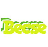 Becse citrus logo