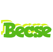 Becse picnic logo