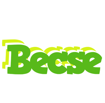 Becse picnic logo