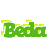 Beda picnic logo