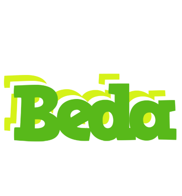 Beda picnic logo