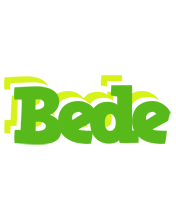 Bede picnic logo