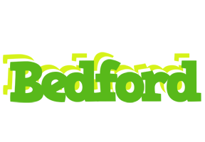 Bedford picnic logo