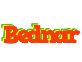 Bednar bbq logo