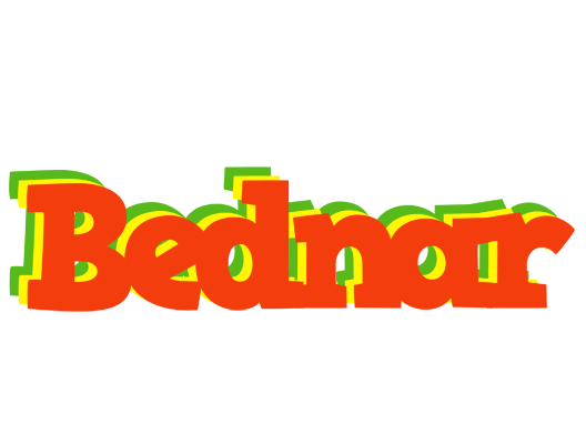 Bednar bbq logo