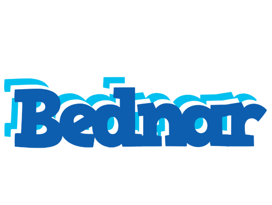Bednar business logo