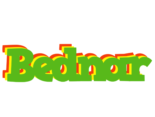 Bednar crocodile logo