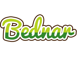 Bednar golfing logo