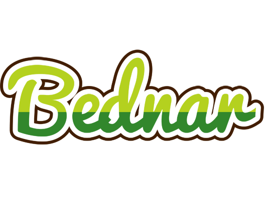 Bednar golfing logo