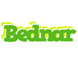 Bednar picnic logo