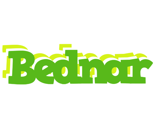 Bednar picnic logo