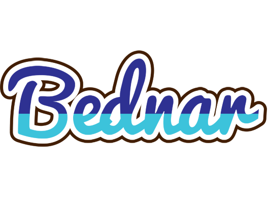 Bednar raining logo