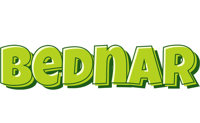Bednar summer logo
