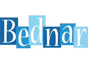 Bednar winter logo