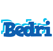 Bedri business logo