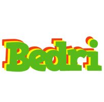 Bedri crocodile logo